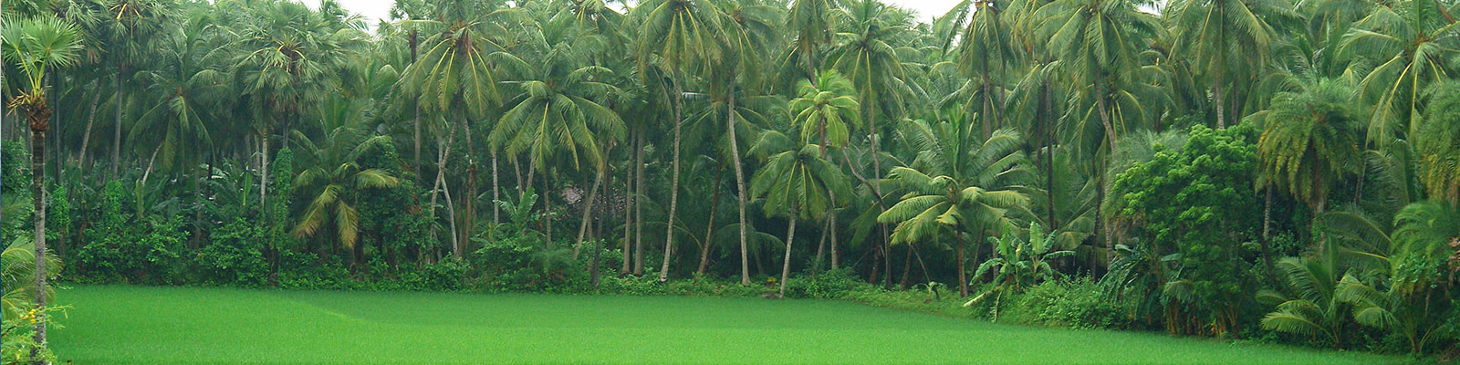 Andhra Vani